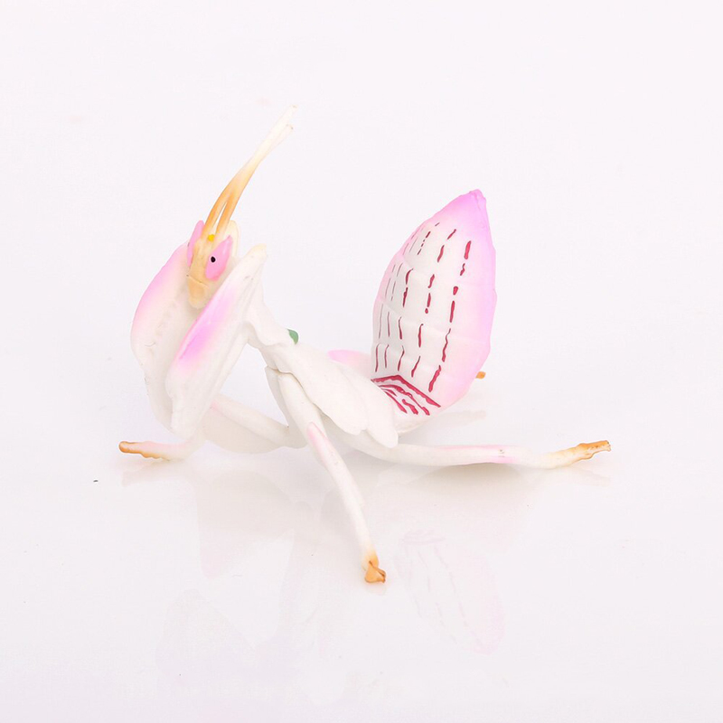 Orchid Kids Education - Modelo de juguete Animal realista, figura
