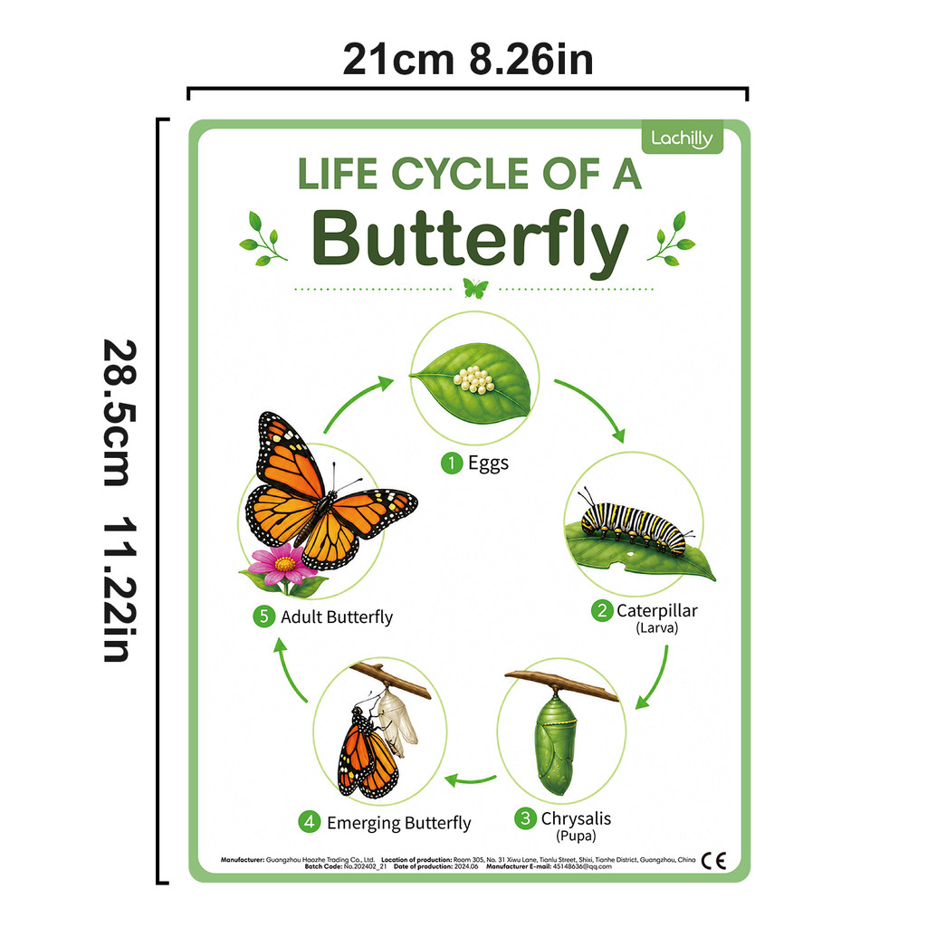 8 Pósters Educativos sobre el  - Kids Nature Education reseña y precio