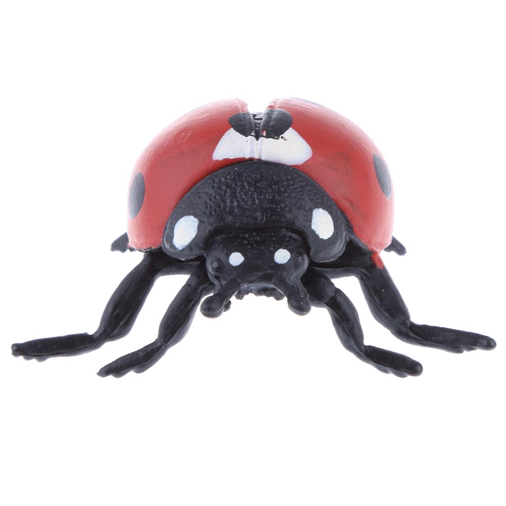 Figura de Acción de Tortuga Re - Kids Education Table reseña y precio