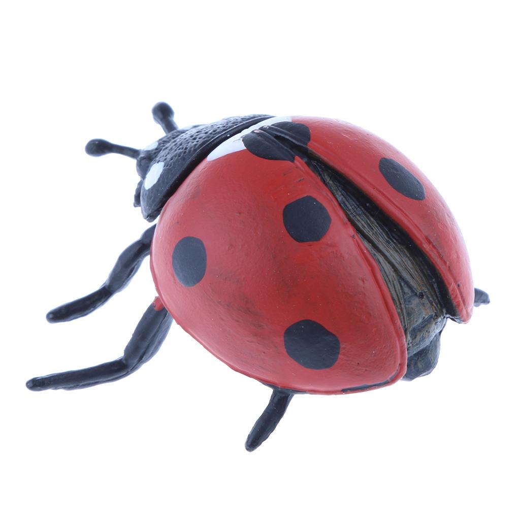 Figura de Acción de Tortuga Re - Kids Education Table reseña y precio