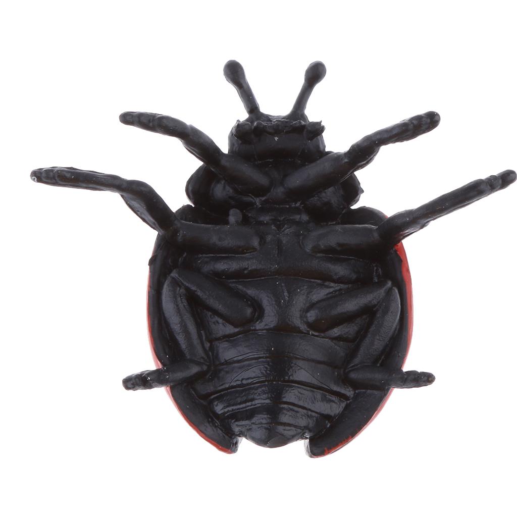 Figura de Acción de Tortuga Re - Kids Education Table reseña y precio