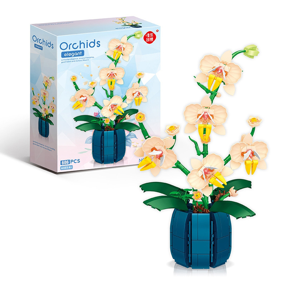 Ramo de orquídeas en maceta, j - Orchid Kids Education reseña y precio
