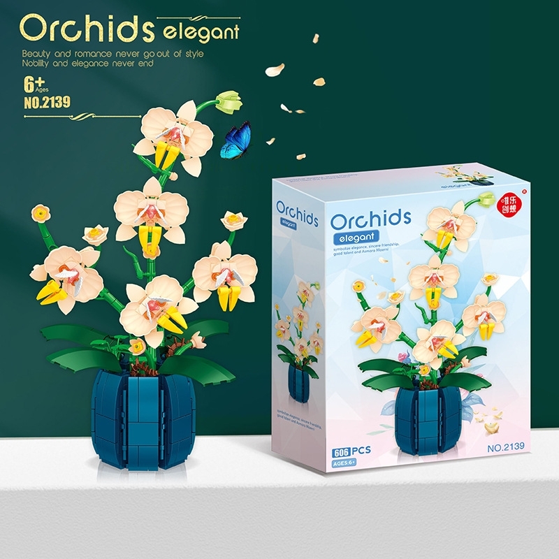 Ramo de orquídeas en maceta, j - Orchid Kids Education reseña y precio